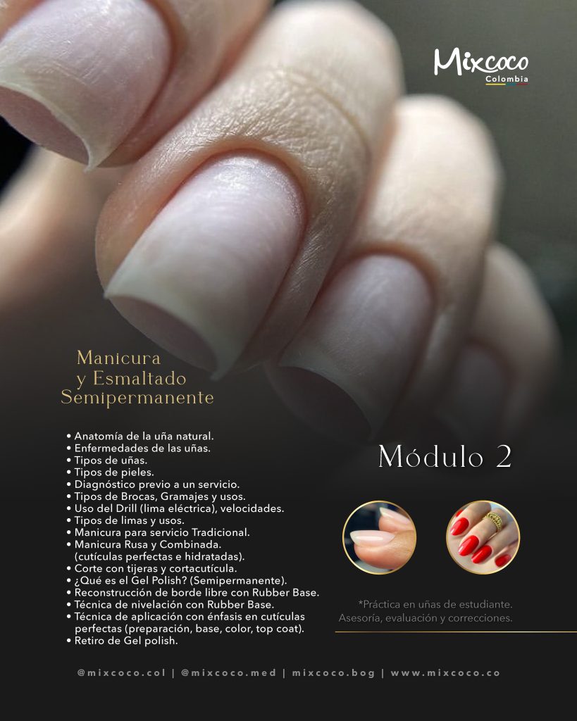 MODULO 2 TECNICO