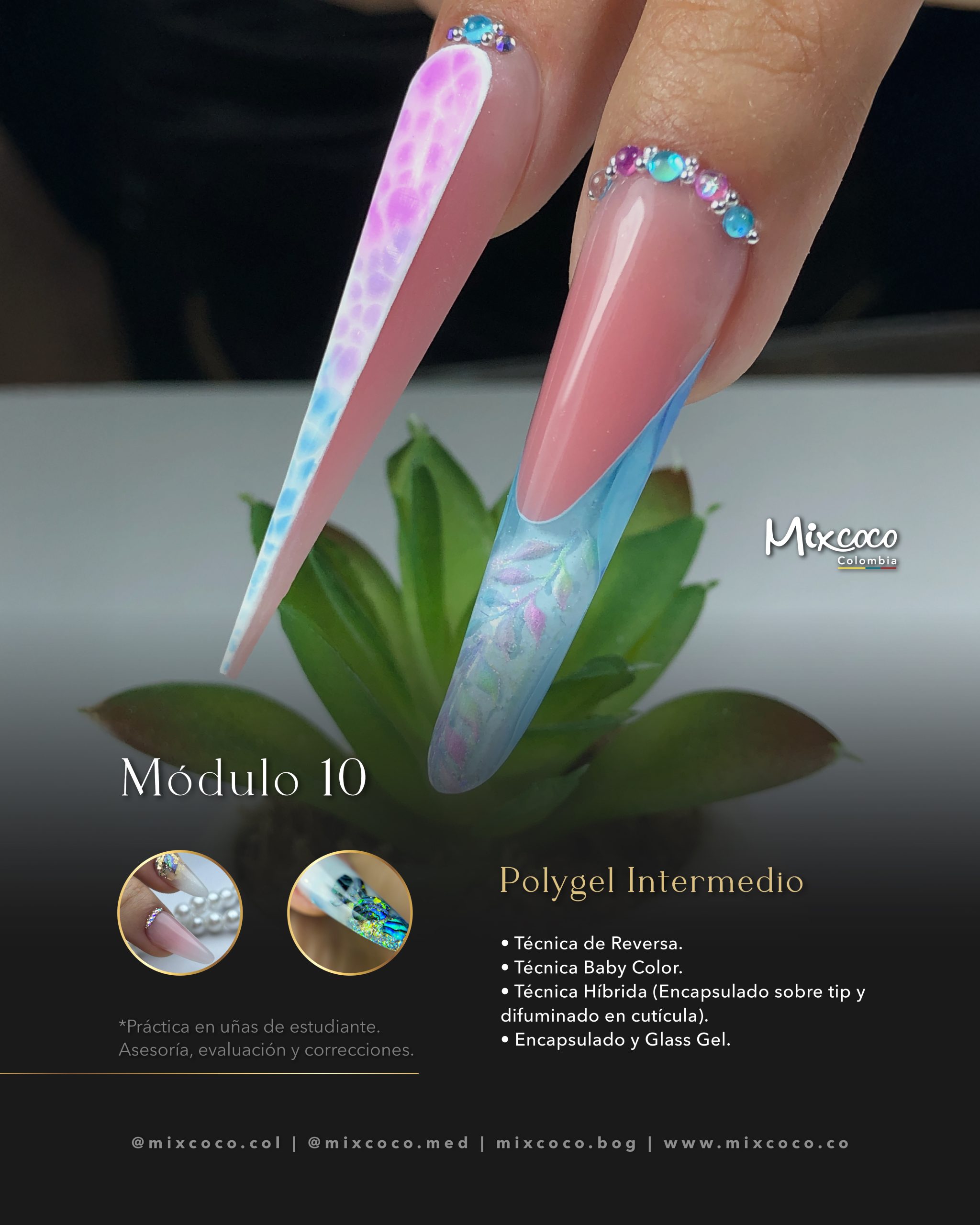 MODULO 10 TECNICO