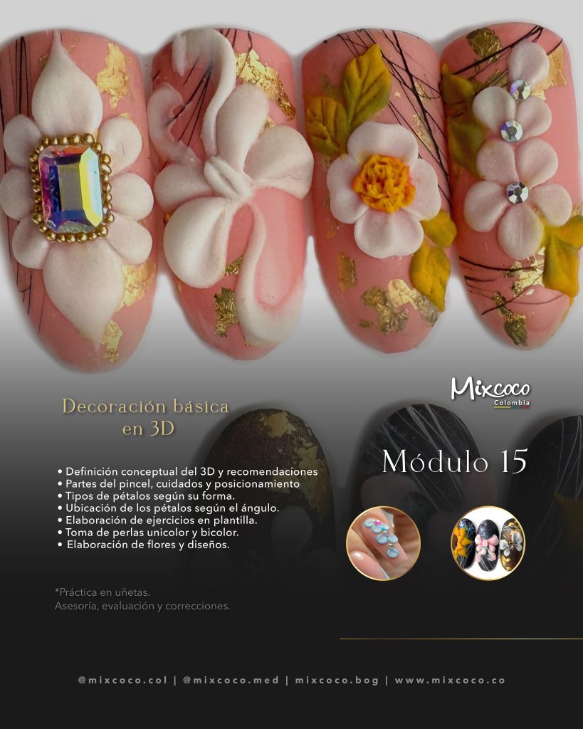 MODULO 15 TECNICO