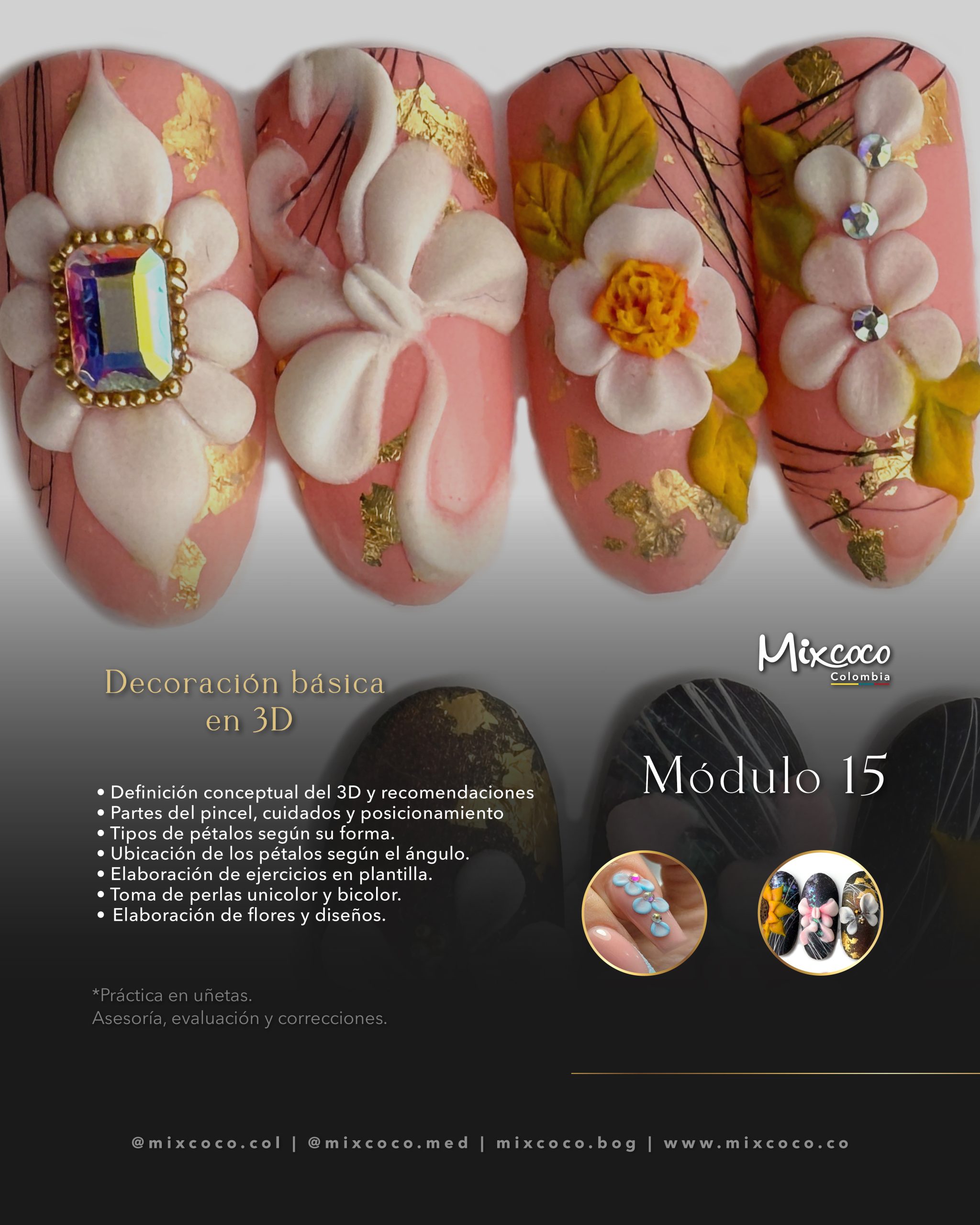 MODULO 15 TECNICO