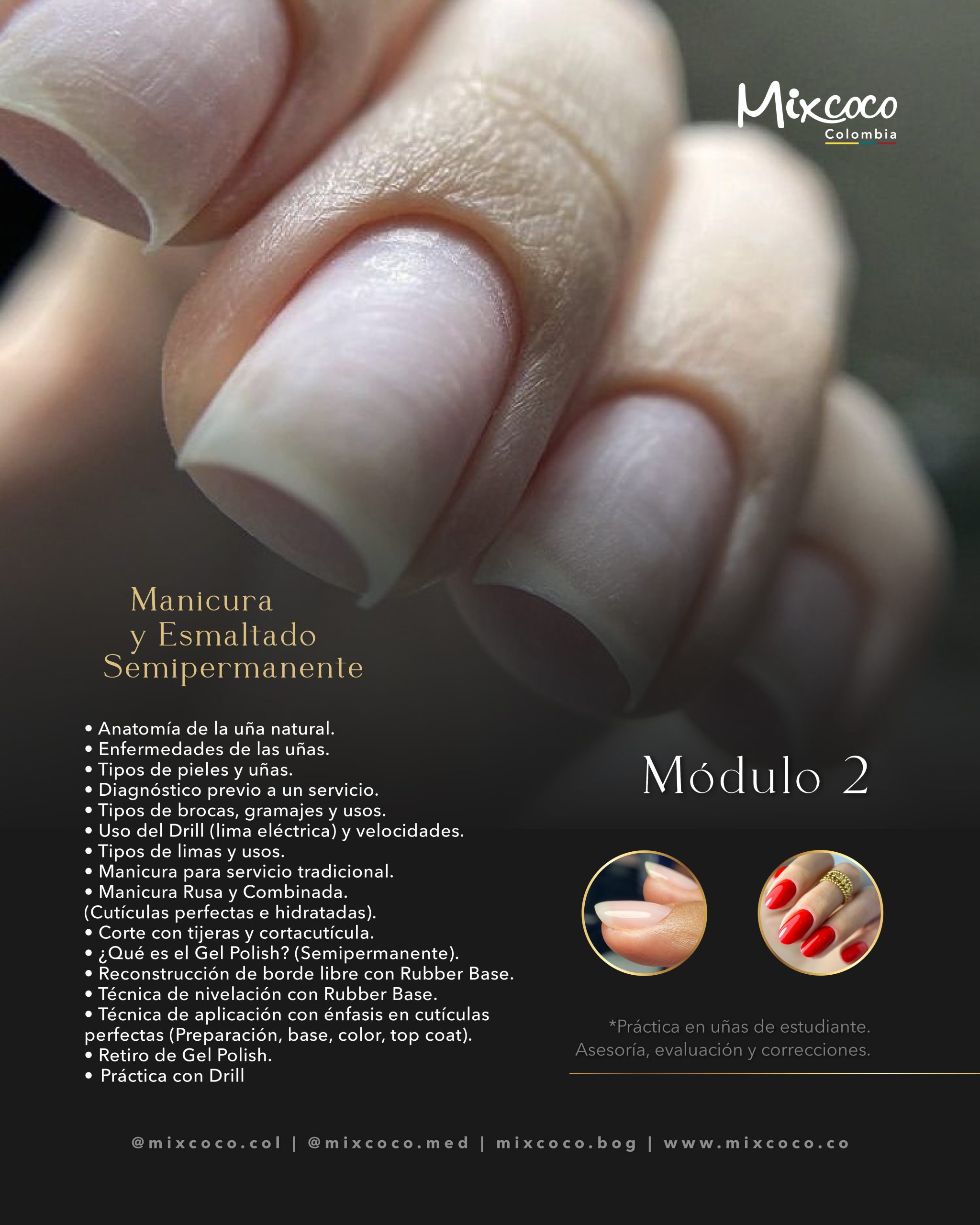 MODULO 2 TECNICO