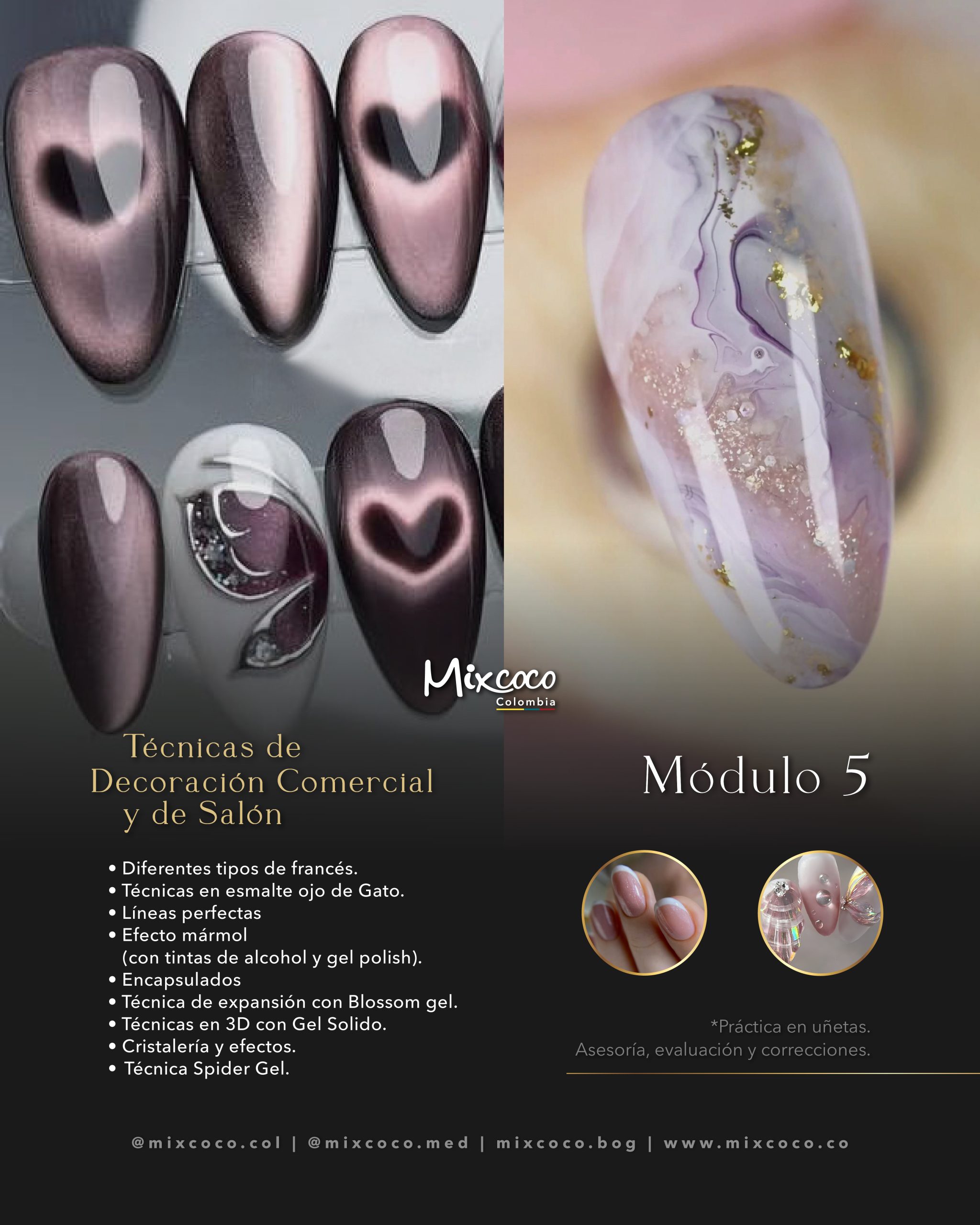 MODULO 5 TECNICO