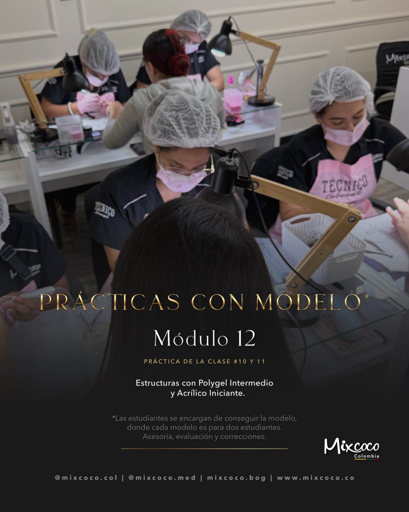 MODULO 12 TECNICO